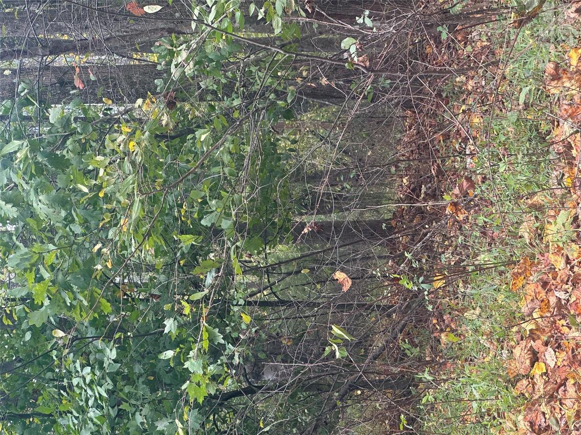 Lot 120 Friar Ct. #120, North Wilkesboro, NC 28659