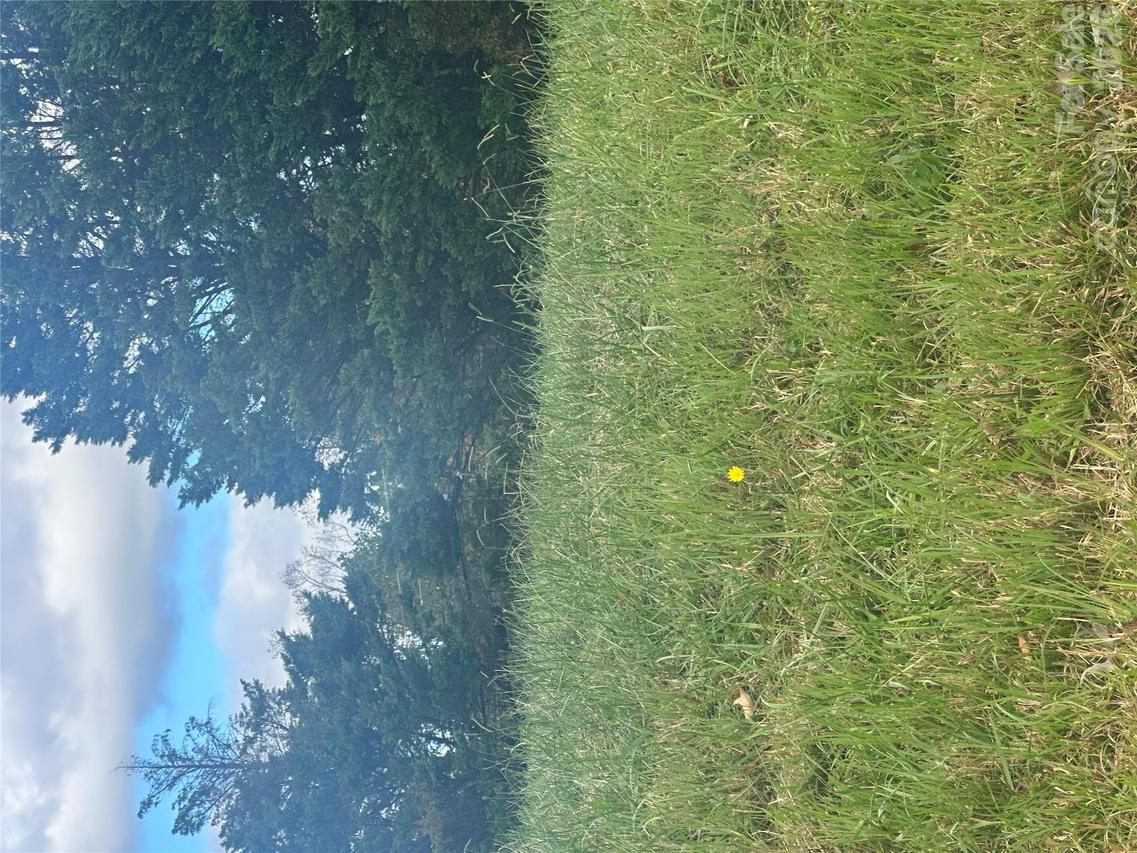 Lot 107 Parson Ln. #107, North Wilkesboro, NC 28659