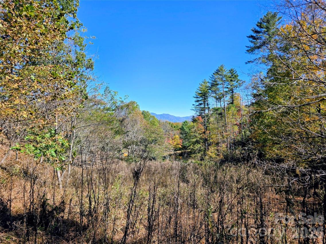00 Big Brush Creek Rd., Green Mountain, NC 28740
