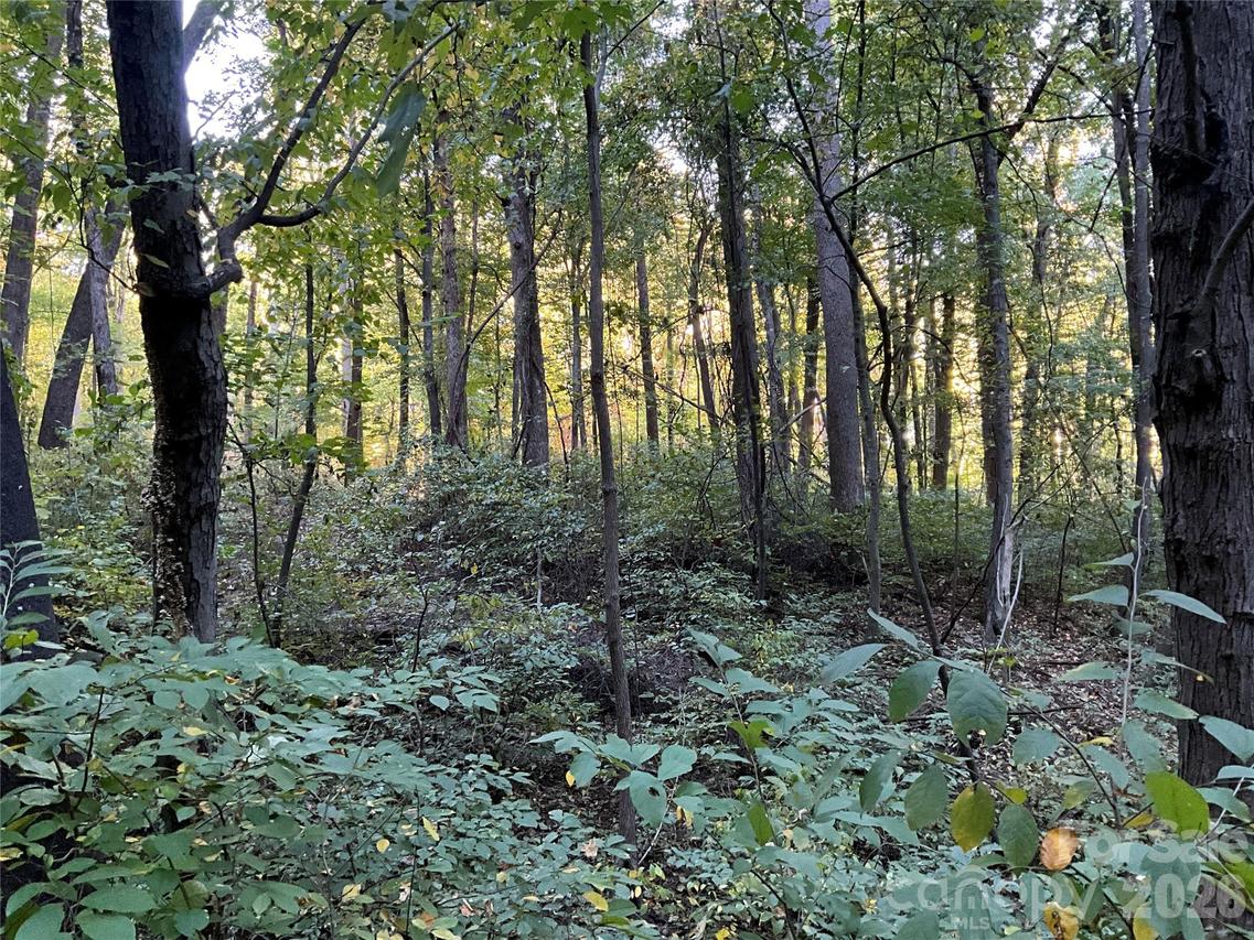 Lot 332/333 Bolt Rd., Lake Lure, NC 28746