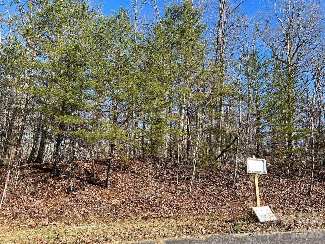 Lhasa Apso Ln. #81, Iron Station, NC 28080