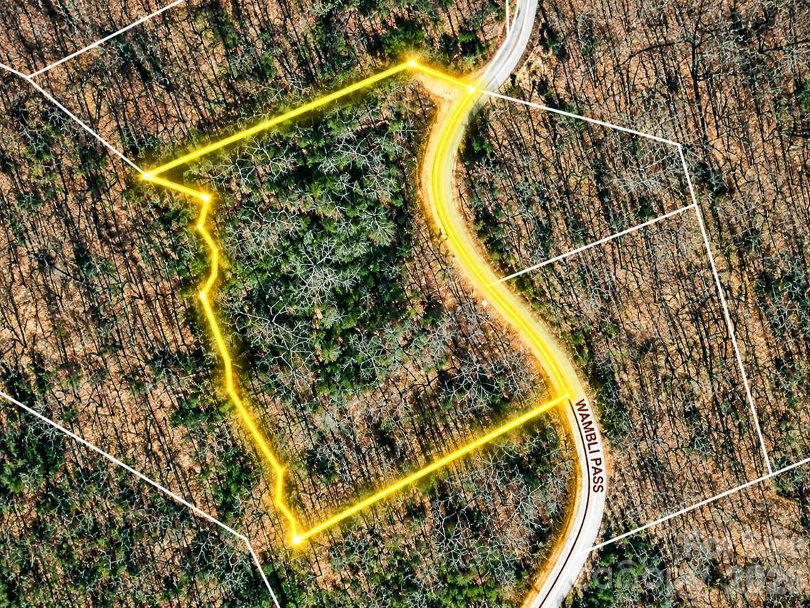 Wambli Pass, Lake Lure, NC 28746