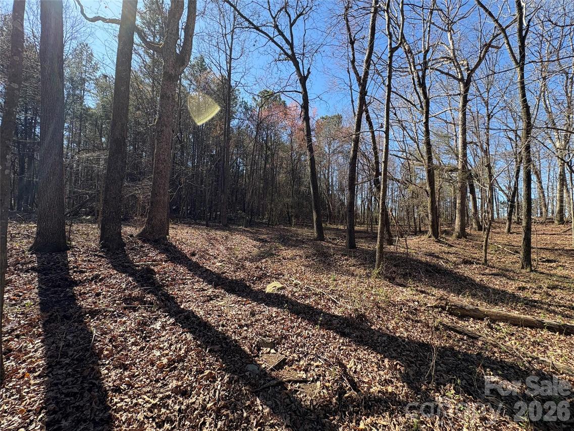1423 Ellis Griffin Rd., Wingate, NC 28174