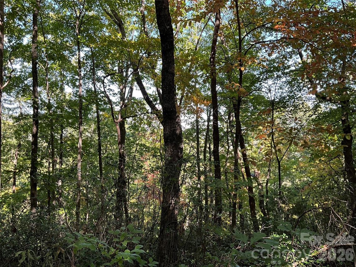 Lot 88 Bolt Rd., Lake Lure, NC 28746