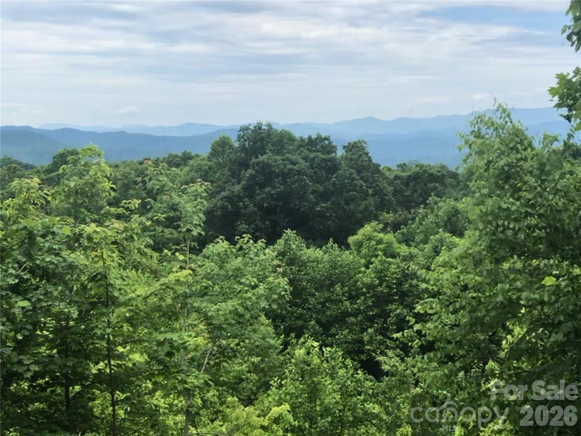 370 Somersby Pkwy., Laurel Park, NC 28739