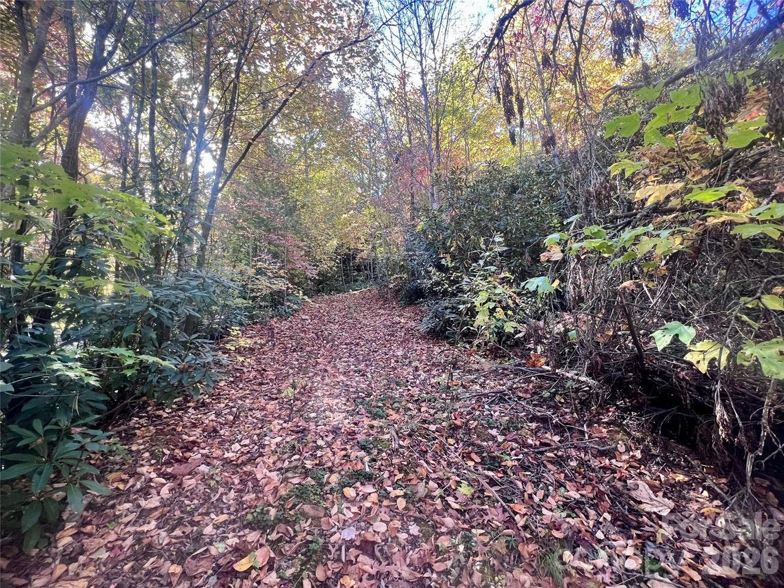 9 Settings Blvd. #36, Black Mountain, NC 28711