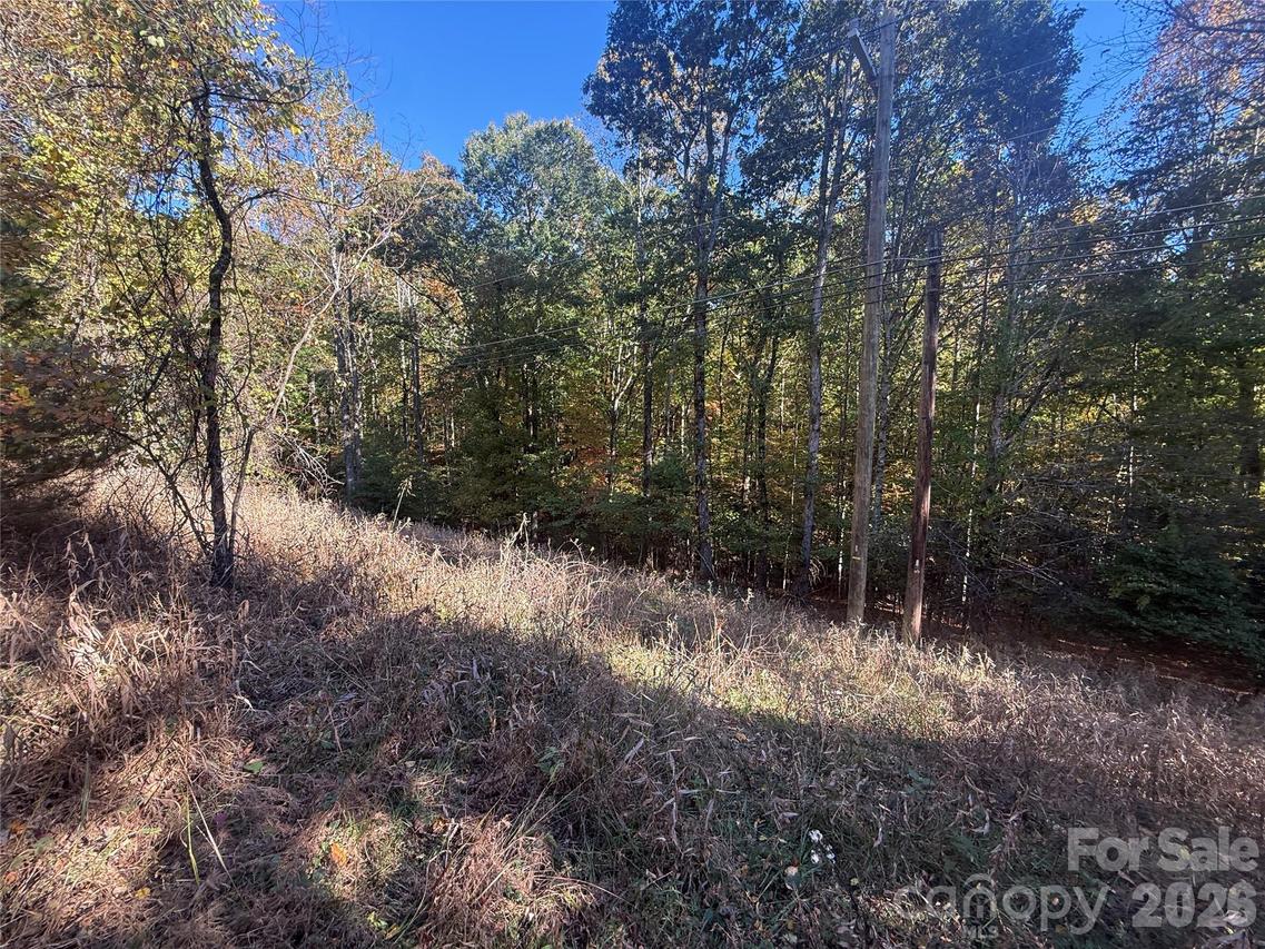 116 Slick Rock Rd., Brevard, NC 28712