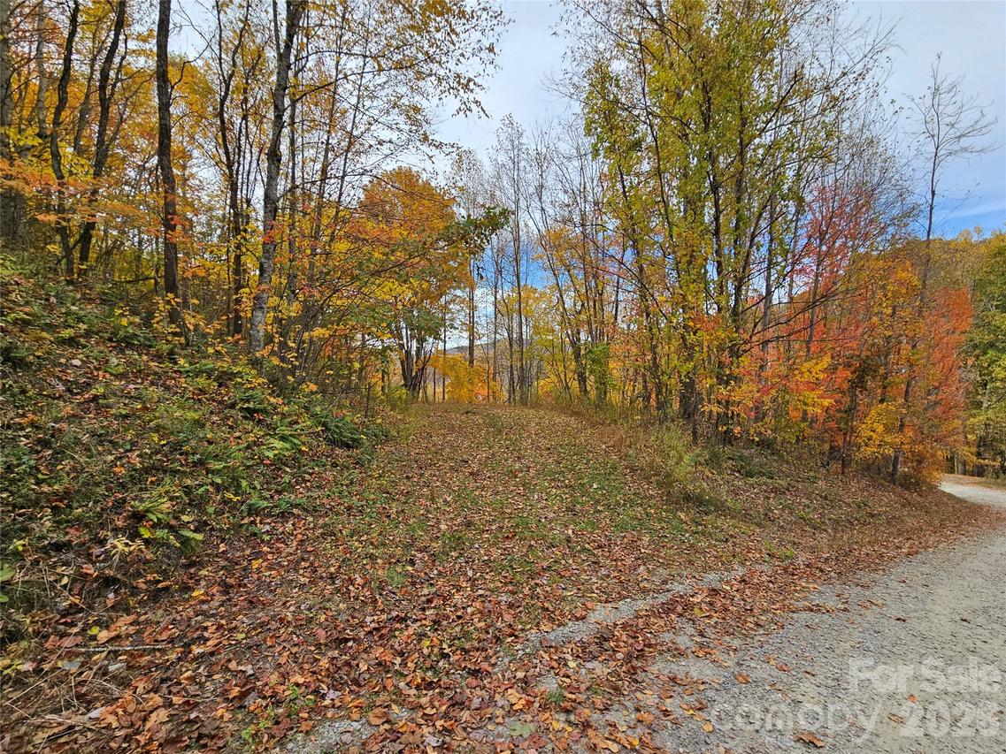 00 Sacred Cove Dr. #1, Clyde, NC 28721