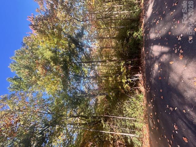 Wilkerson Ct. #37, Lake Lure, NC 28746