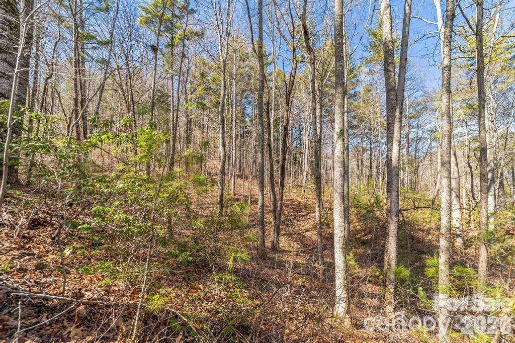 9999 Little Creek Dr., Nebo, NC 28761