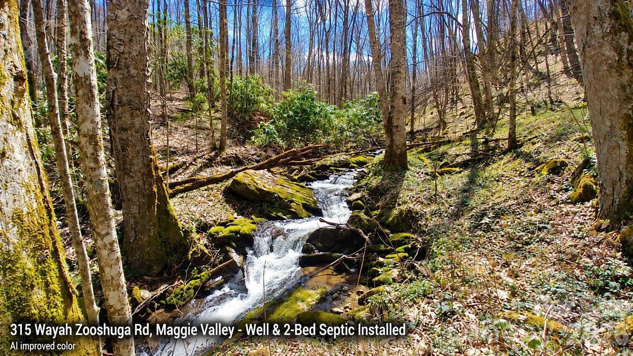 315 Wayah Zooshuga Rd. #28J, Maggie Valley, NC 28751