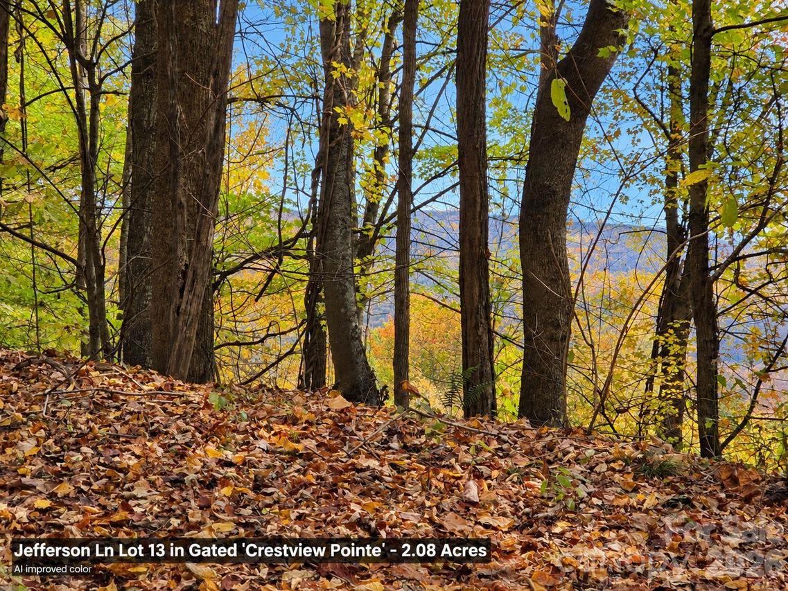 125 Jefferson Ln. #13, Waynesville, NC 28786