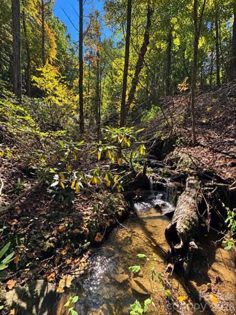 9999 Bird Creek Estates Rd., Black Mountain, NC 28711