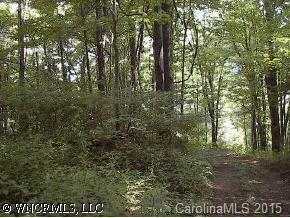 Nichols Ridge Ln., Waynesville, NC 28786