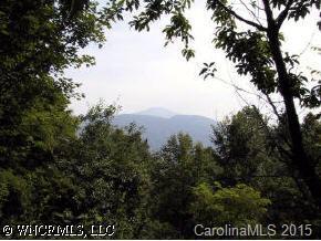 Off State Rd 1318, Waynesville, NC 28785