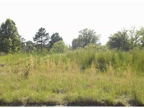 Lot153 Rising Sun Ln., Weddington, NC 28104