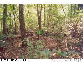 3 Love Land, Maggie Valley, NC 28751