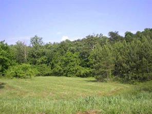 Lot 31 Mintew Cir., Lincolnton, NC 28092
