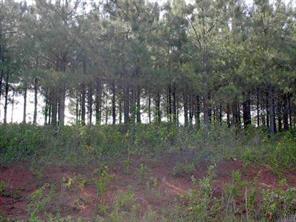Lot 40 Mintew Cir., Lincolnton, NC 28092