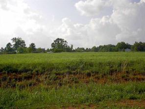 Lot 45 Mintew Cir., Lincolnton, NC 28092