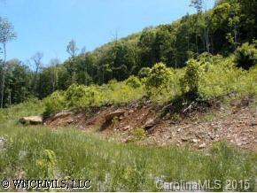 1785 Potleg Rd., Waynesville, NC 28785