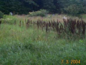 180 Beth Haven Church Rd., Lincolnton, NC 28037