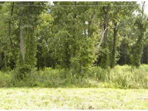 00 E Austin Chaney Rd., Wingate, NC 28174