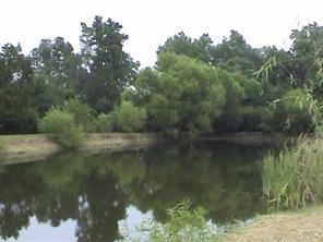 6839 Honey Bee Rd., Monroe, NC 28110