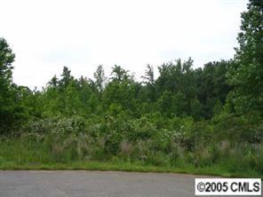 Lot 13 Cabin Creek Dr., Sherrills Ford, NC 28673