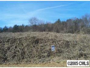7807 Long Bay Pkwy. #LOT40, Catawba, NC 28609