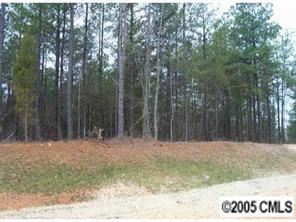 Lot344 N Anderson Farm Ct. #116, Mooresville, NC 28117