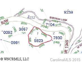 1 Sr 1349 Rabbit Skin, Waynesville, NC 28786
