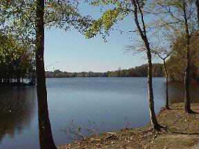 541 Southeast Dr. #15, Davidson, NC 28036