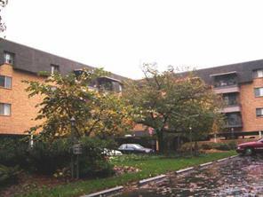 1323 Queens Rd. #217, Charlotte, NC 28207