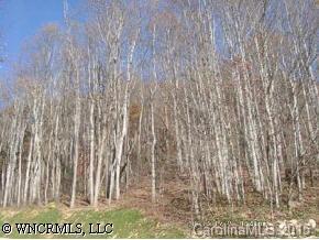 13 Cameron Drive, Etowah, NC 28729