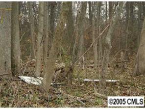 925 Patch Ave., Charlotte, NC 28206