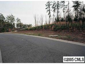 248G Channel Pointe Dr., Denver, NC 28037