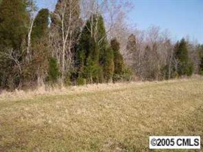 lot 24 Brevard Place Rd., Iron Station, NC 28080