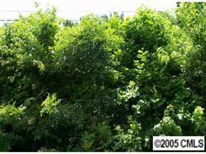 Lot 32 Troxler Cirlce None, Concord, NC 28027