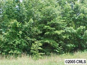 LOT Erwin Rd., China Grove, NC 28023