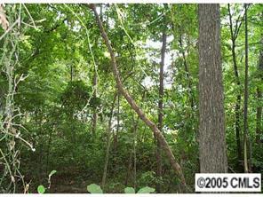 L272 Rustling Woods Dr., Denver, NC 28037