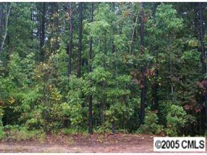 Lot313 Rustling Woods Dr., Denver, NC 28037