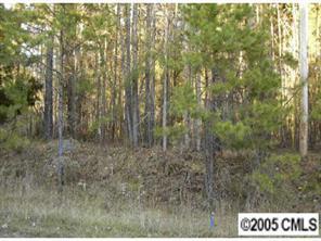 Hudson Church Rd., Indian Trail, NC 28079