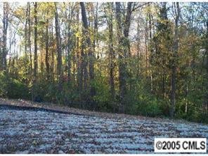 00 Mayes Rd. #LOT 2, Davidson, NC 28031