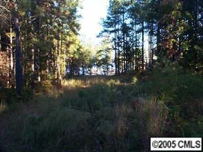 2242 Longcove Ct., Sherrills Ford, NC 28673