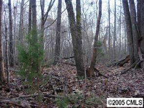 00 Sandy Ridge Rd., Monroe, NC 28112