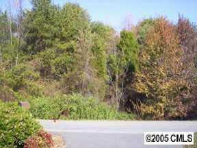 Lot 33 Shoreline Loop, Mooresville, NC 28117