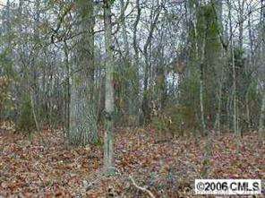 000 Rhyne Rd., Dallas, NC 28034