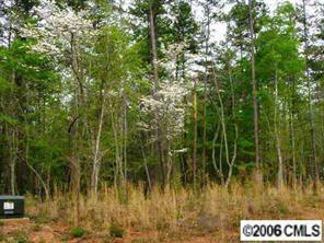 Lot#10 Timber Run Dr., Ironton Township, NC 28080