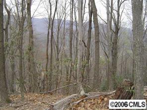 25b Bell Mountain Rd., Hayes, NC 28625